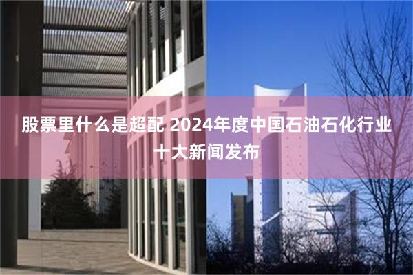 股票里什么是超配 2024年度中国石油石化行业十大新闻发布