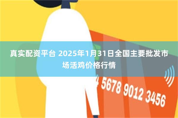 真实配资平台 2025年1月31日全国主要批发市场活鸡价格行情