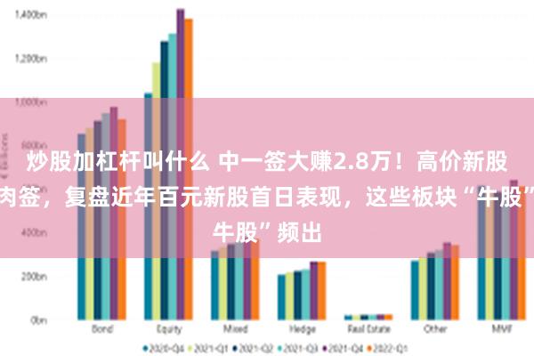 炒股加杠杆叫什么 中一签大赚2.8万！高价新股成大肉签，复盘近年百元新股首日表现，这些板块“牛股”频出