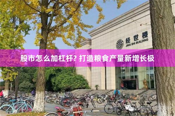 股市怎么加杠杆? 打造粮食产量新增长极