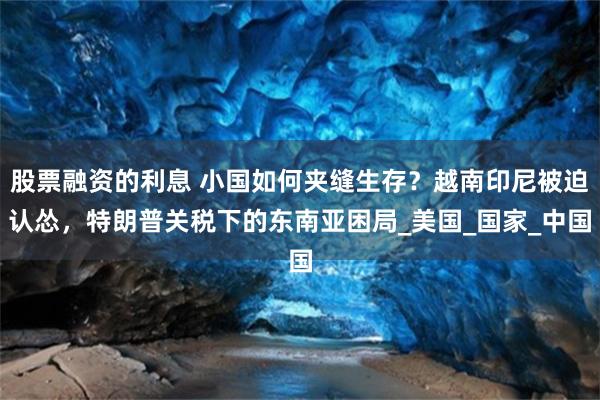 股票融资的利息 小国如何夹缝生存？越南印尼被迫认怂，特朗普关税下的东南亚困局_美国_国家_中国
