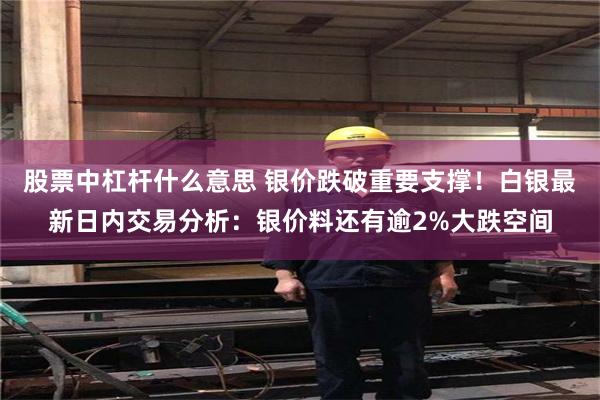 股票中杠杆什么意思 银价跌破重要支撑！白银最新日内交易分析：银价料还有逾2%大跌空间